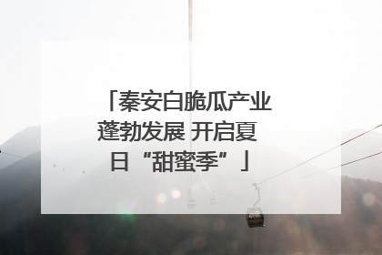 秦安白脆瓜产业蓬勃发展 开启夏日“甜蜜季”