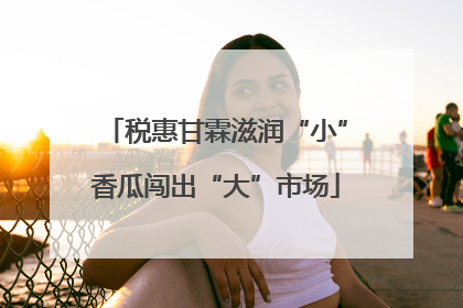 税惠甘霖滋润“小”香瓜闯出“大”市场
