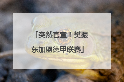 突然官宣！樊振东加盟德甲联赛