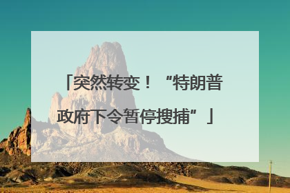 突然转变！“特朗普政府下令暂停搜捕”