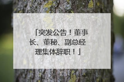 突发公告！董事长、董秘、副总经理集体辞职！