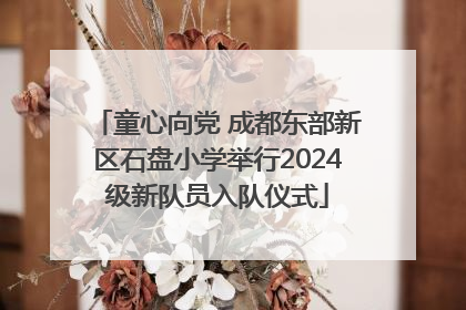童心向党 成都东部新区石盘小学举行2024级新队员入队仪式