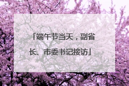 端午节当天，副省长、市委书记接访