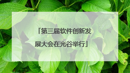 第三届软件创新发展大会在光谷举行