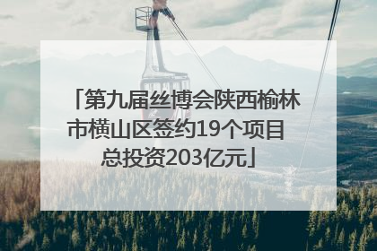 第九届丝博会陕西榆林市横山区签约19个项目 总投资203亿元