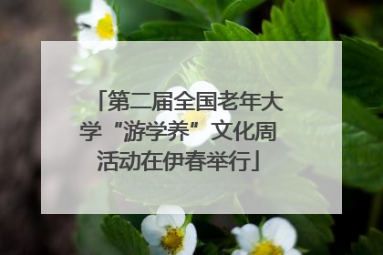 第二届全国老年大学“游学养”文化周活动在伊春举行