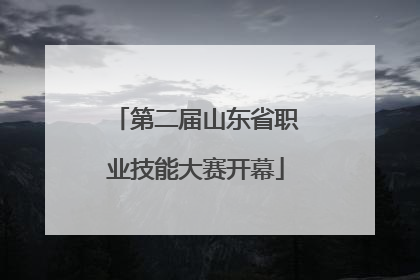 第二届山东省职业技能大赛开幕