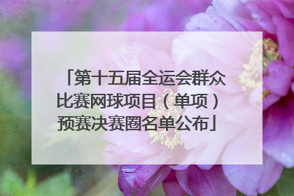 第十五届全运会群众比赛网球项目（单项）预赛决赛圈名单公布
