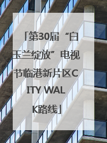 第30届“白玉兰绽放”电视节临港新片区CITY WALK路线