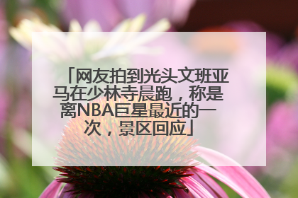 网友拍到光头文班亚马在少林寺晨跑，称是离NBA巨星最近的一次，景区回应