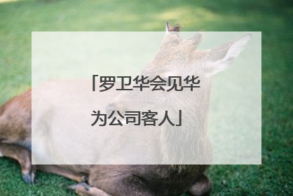 罗卫华会见华为公司客人
