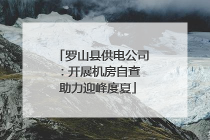 罗山县供电公司：开展机房自查 助力迎峰度夏