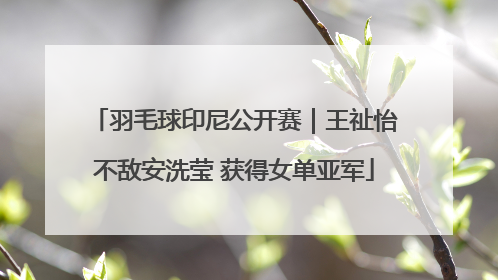 羽毛球印尼公开赛｜王祉怡不敌安洗莹 获得女单亚军