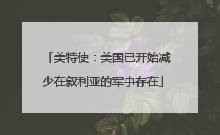 美特使：美国已开始减少在叙利亚的军事存在