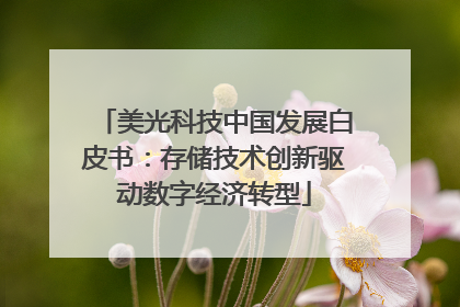美光科技中国发展白皮书：存储技术创新驱动数字经济转型
