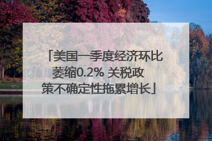 美国一季度经济环比萎缩0.2% 关税政策不确定性拖累增长