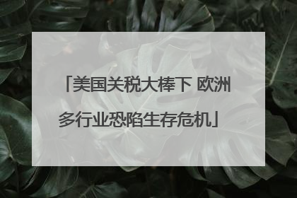 美国关税大棒下 欧洲多行业恐陷生存危机