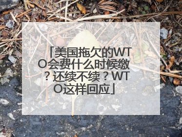 美国拖欠的WTO会费什么时候缴？还续不续？WTO这样回应