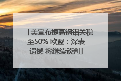 美宣布提高钢铝关税至50% 欧盟：深表遗憾 将继续谈判