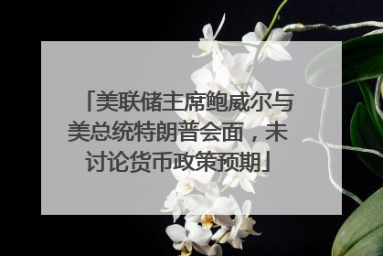 美联储主席鲍威尔与美总统特朗普会面，未讨论货币政策预期