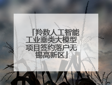 羚数人工智能工业垂类大模型项目签约落户无锡高新区