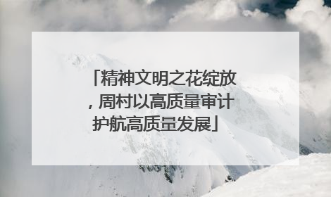 精神文明之花绽放，周村以高质量审计护航高质量发展