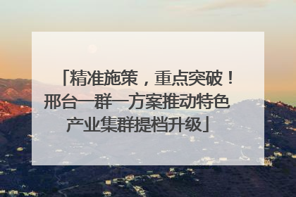 精准施策，重点突破！邢台一群一方案推动特色产业集群提档升级