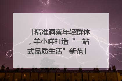 精准洞察年轻群体，羊小咩打造“一站式品质生活”新范
