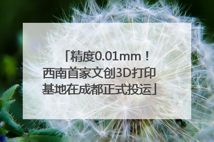 精度0.01mm！西南首家文创3D打印基地在成都正式投运