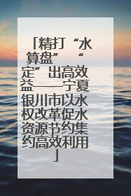 精打“水算盘” “定”出高效益——宁夏银川市以水权改革促水资源节约集约高效利用