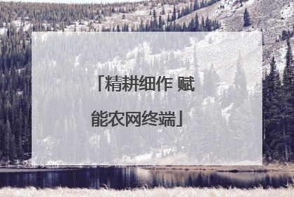 精耕细作 赋能农网终端