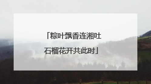 粽叶飘香连湘吐 石榴花开共此时