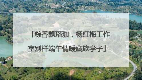 粽香飘珞珈，杨红梅工作室别样端午情暖藏族学子