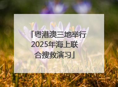 粤港澳三地举行2025年海上联合搜救演习
