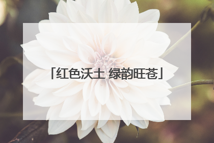 红色沃土 绿韵旺苍