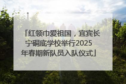 红领巾爱祖国，宜宾长宁硐底学校举行2025年春期新队员入队仪式