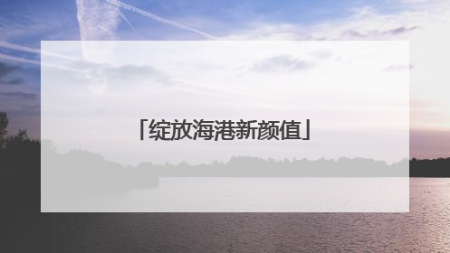 绽放海港新颜值