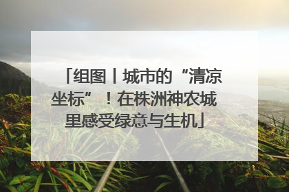 组图丨城市的“清凉坐标”！在株洲神农城里感受绿意与生机