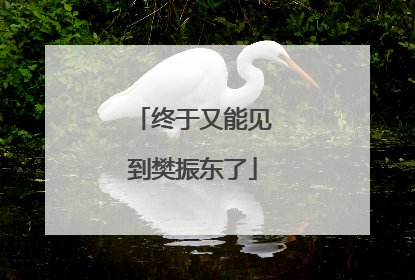 终于又能见到樊振东了