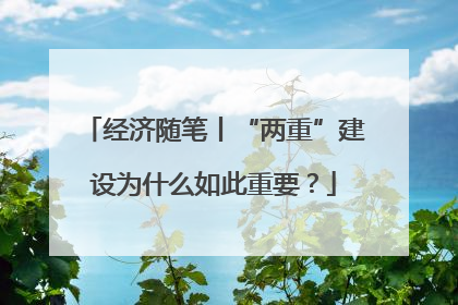 经济随笔丨“两重”建设为什么如此重要？