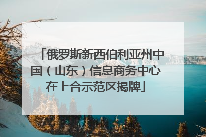俄罗斯新西伯利亚州中国（山东）信息商务中心在上合示范区揭牌