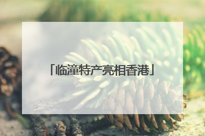 临潼特产亮相香港