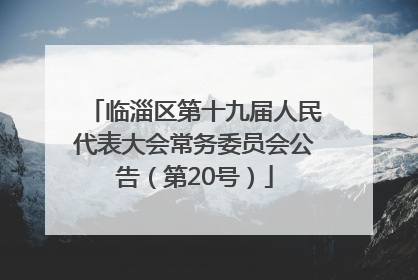 临淄区第十九届人民代表大会常务委员会公告（第20号）
