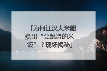 为何江汉大米能煮出“会跳舞的米饭”？现场揭秘
