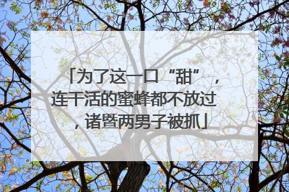 为了这一口“甜”，连干活的蜜蜂都不放过，诸暨两男子被抓