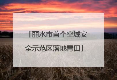 丽水市首个空域安全示范区落地青田