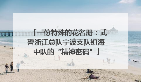 一份特殊的花名册：武警浙江总队宁波支队镇海中队的“精神密码”