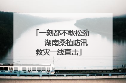 一刻都不敢松劲——湖南桑植防汛救灾一线直击