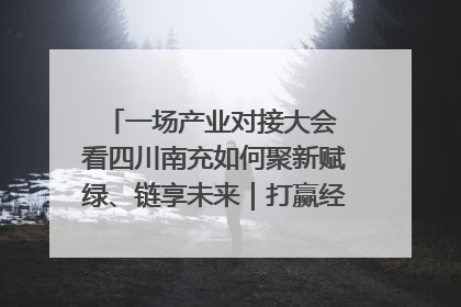 一场产业对接大会 看四川南充如何聚新赋绿、链享未来｜打赢经济发展翻身仗