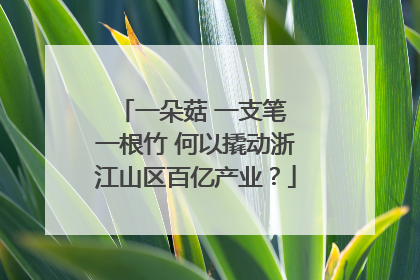 一朵菇 一支笔 一根竹 何以撬动浙江山区百亿产业？